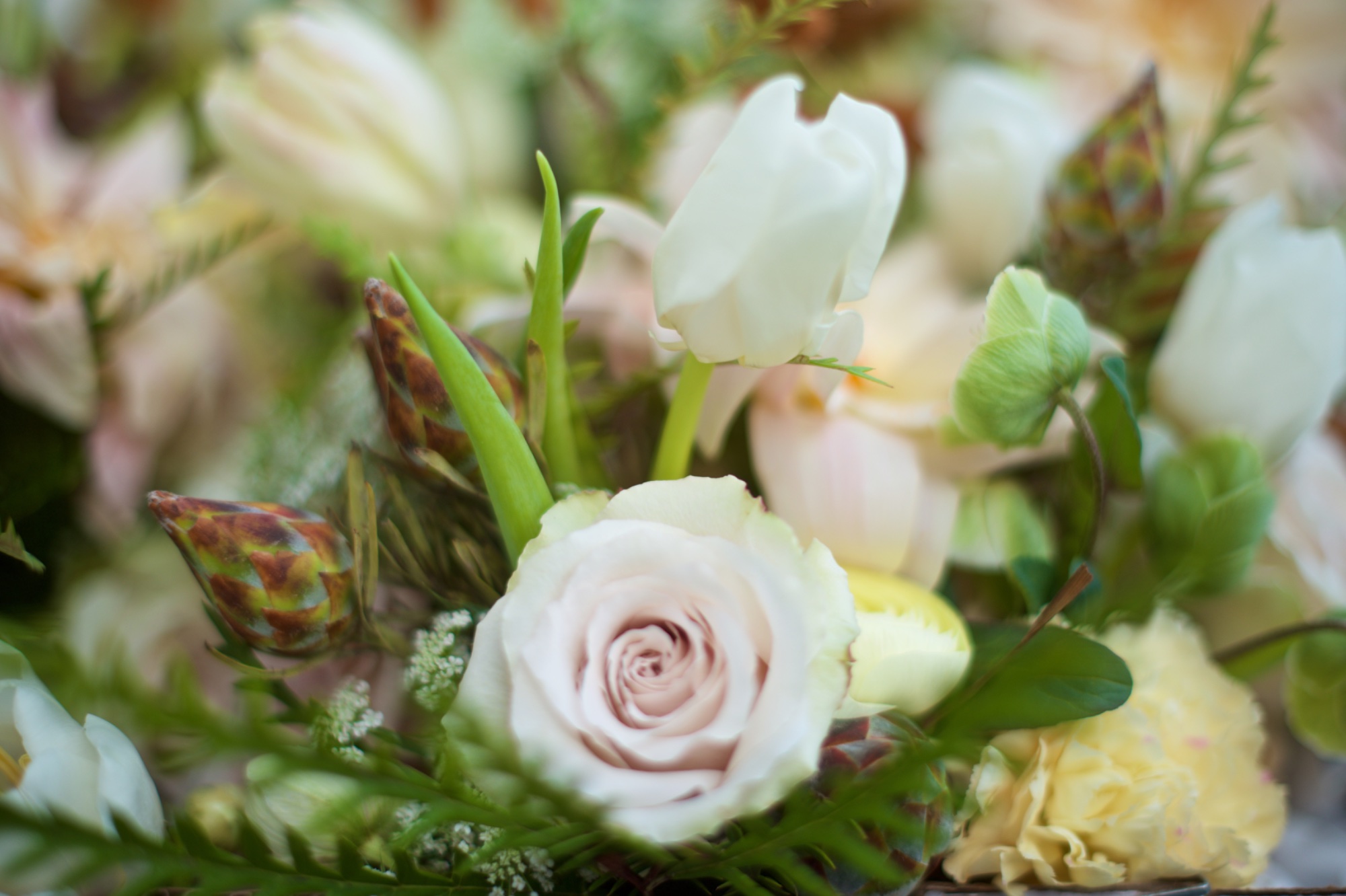 Bride and groom portrait